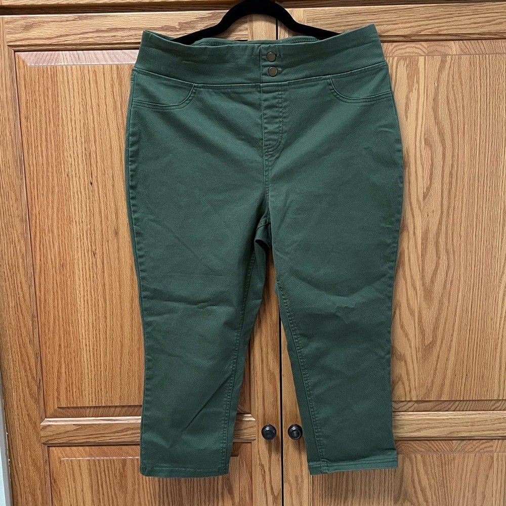 Terra & Sky Green Capri Pants, GUC, Size 14 W